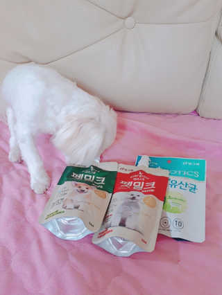 [빙그레] 에버그로 생유산균 1봉（10포입）+펫밀크2팩 — 4점을 준 리뷰어가 2019년 6월 올린 사용 사진