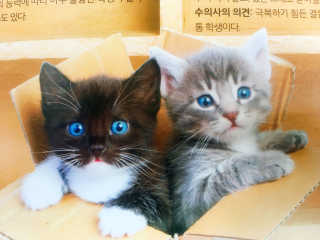 withme히히님이 올린 리뷰 사진 3