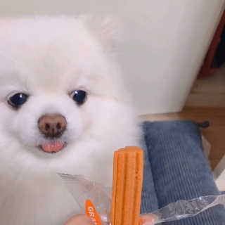 요지님이 올린 리뷰 사진 3