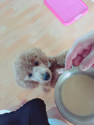 fksrud7425님이 올린 리뷰 사진 1
