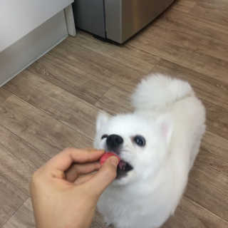 김연희님이 올린 리뷰 사진 1