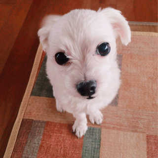 짱아님이 올린 리뷰 사진 2