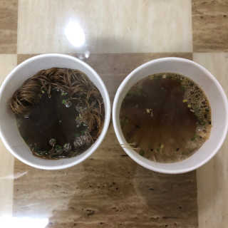 현이님이 올린 리뷰 사진 2