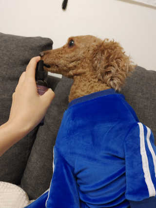 짱아둥이님이 올린 리뷰 사진 1