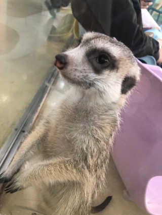율ʕ•ᴥ•ʔ님이 올린 리뷰 사진 3
