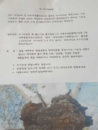 플로라님이 올린 리뷰 사진 4