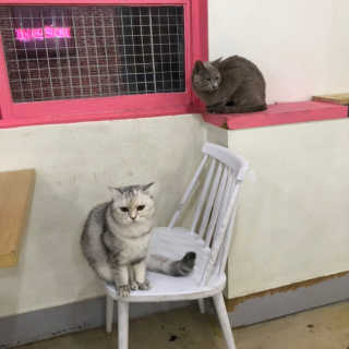 블랙바닐라님이 올린 리뷰 사진 3