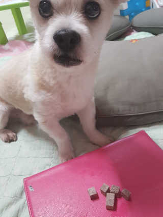 moomoon님이 올린 리뷰 사진 3