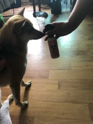 이철준님이 올린 리뷰 사진 2