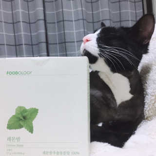 나르미르님이 올린 리뷰 사진 1