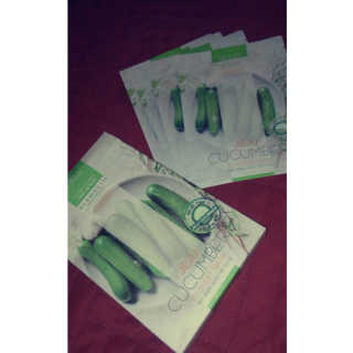 influensterxchelseaa님이 올린 리뷰 사진 1