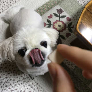 슈민짱짱님이 올린 리뷰 사진 2