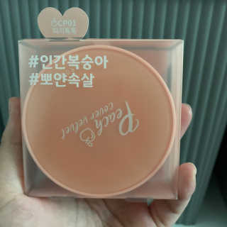 [블랙루즈] 피치 커버 벨벳 쿠션 2종 중 택1 — 4점을 준 리뷰어가 2019년 10월 올린 사용 사진