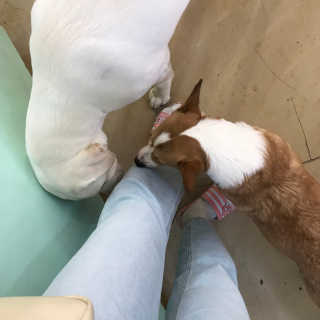 키미의데일리라이프님이 올린 리뷰 사진 2