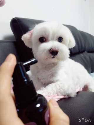 맘맘잉님이 올린 리뷰 사진 2