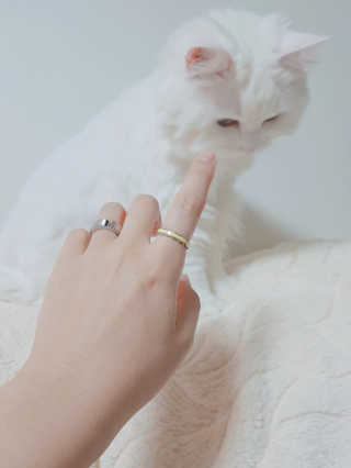 논지님이 올린 리뷰 사진 3
