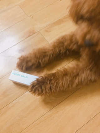 토끼줌마님이 올린 리뷰 사진 2