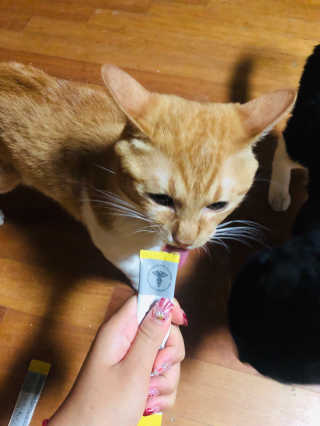 새빨간엘모님이 올린 리뷰 사진 2