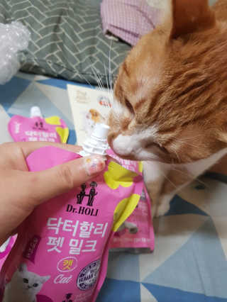 닥터할리펫밀크 8종 — 5점을 준 리뷰어가 2019년 4월 올린 사용 사진
