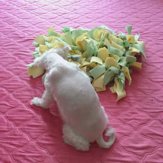 nuriburi님이 올린 리뷰 사진 2