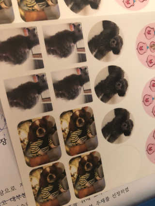 MokYunMorganLee님이 올린 리뷰 사진 1