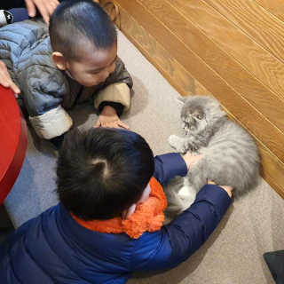 냥냥님이 올린 리뷰 사진 3