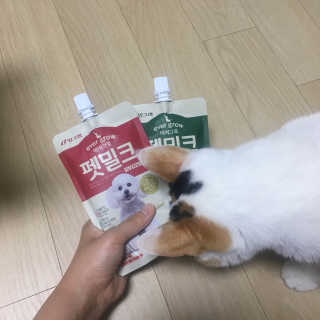 [빙그레] 에버그로 생유산균 1봉（10포입）+펫밀크2팩 — 5점을 준 리뷰어가 2019년 6월 올린 사용 사진