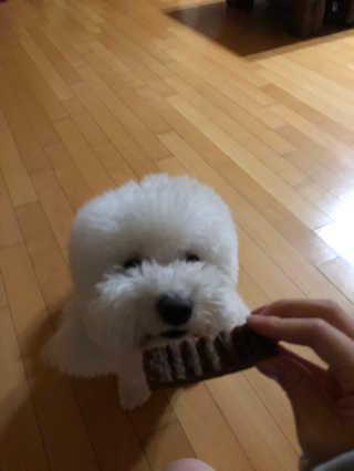2020님이 올린 리뷰 사진 4