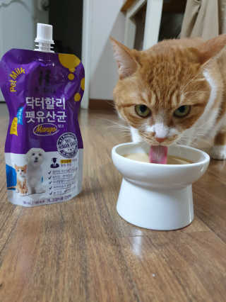 닥터할리펫밀크 8종 — 5점을 준 리뷰어가 2018년 10월 올린 사용 사진