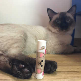 더블리스풀독 샤이니 포우 버터 0.15oz [천연 발바닥 보호제] — 4점을 준 리뷰어가 2018년 7월 올린 사용 사진