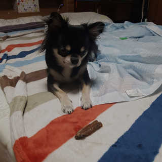 GyujinKim님이 올린 리뷰 사진 3