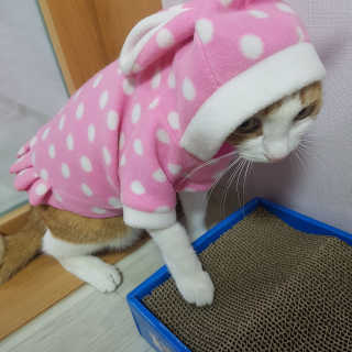 sooosoo님이 올린 리뷰 사진 3