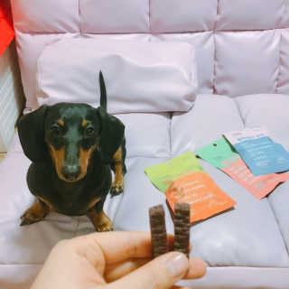 푸디웜 주식회사 [푸디웜] 강아지 저알러지 수제간식 3종세트 — 5점을 준 리뷰어가 2018년 12월 올린 사용 사진