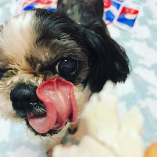 김선영님이 올린 리뷰 사진 4