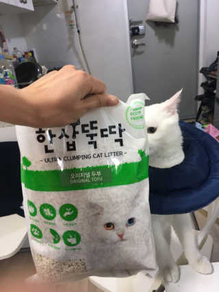 [펫토리아] BEST 고양이두부모래 6L 한삽뚝딱 — 5점을 준 리뷰어가 2019년 2월 올린 사용 사진
