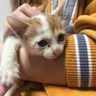 욤둥이님이 올린 리뷰 사진 3