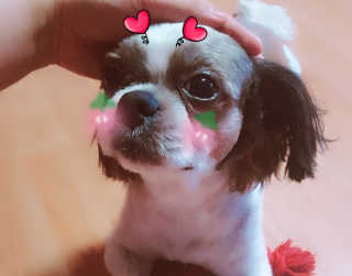 하이루하이루님이 올린 리뷰 사진 4