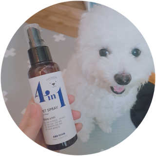 강아지스토리 포인원 모이스처 미스트 100ml — 5점을 준 리뷰어가 2018년 11월 올린 사용 사진
