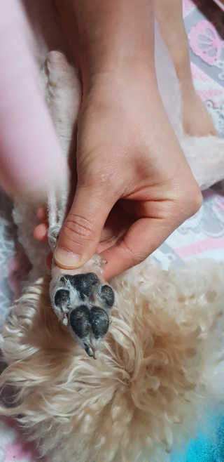 서주나님이 올린 리뷰 사진 2