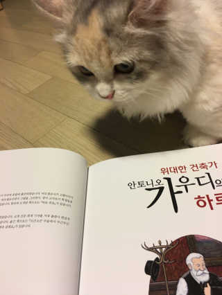 joosuyeoun님이 올린 리뷰 사진 2