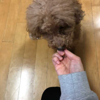 ReginaKwak님이 올린 리뷰 사진 3