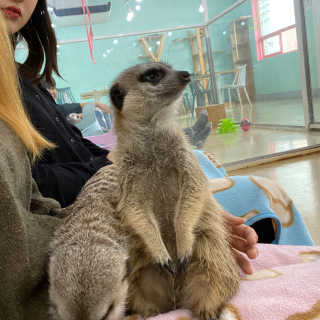 삐삐님이 올린 리뷰 사진 3