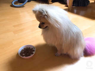 민토리님이 올린 리뷰 사진 1