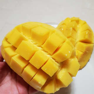 캐린님이 올린 리뷰 사진 2