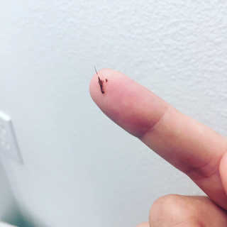 Halemalesa님이 올린 리뷰 사진 4