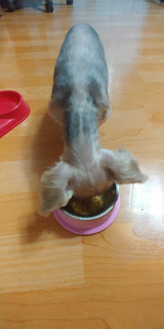 요니요니님이 올린 리뷰 사진 1