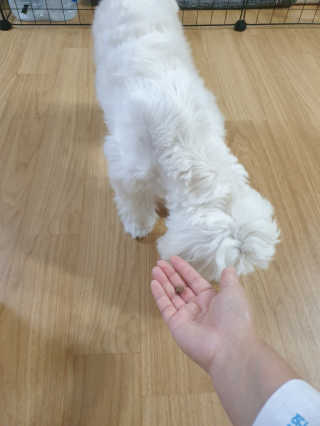 삐랭이님이 올린 리뷰 사진 3