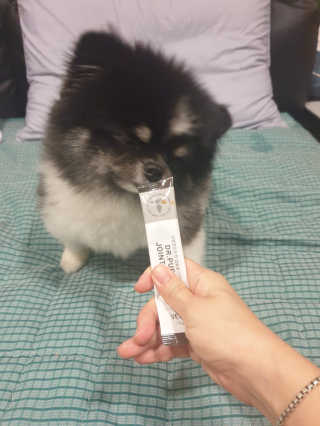 몽실맘님이 올린 리뷰 사진 2