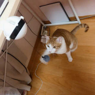 김린님이 올린 리뷰 사진 1