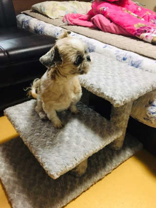자유부인님이 올린 리뷰 사진 1